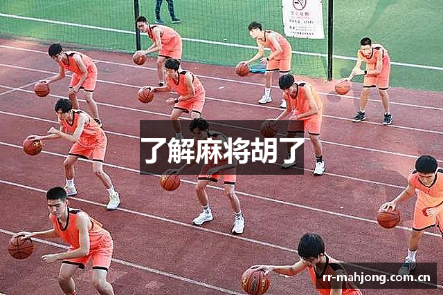 了解麻将胡了